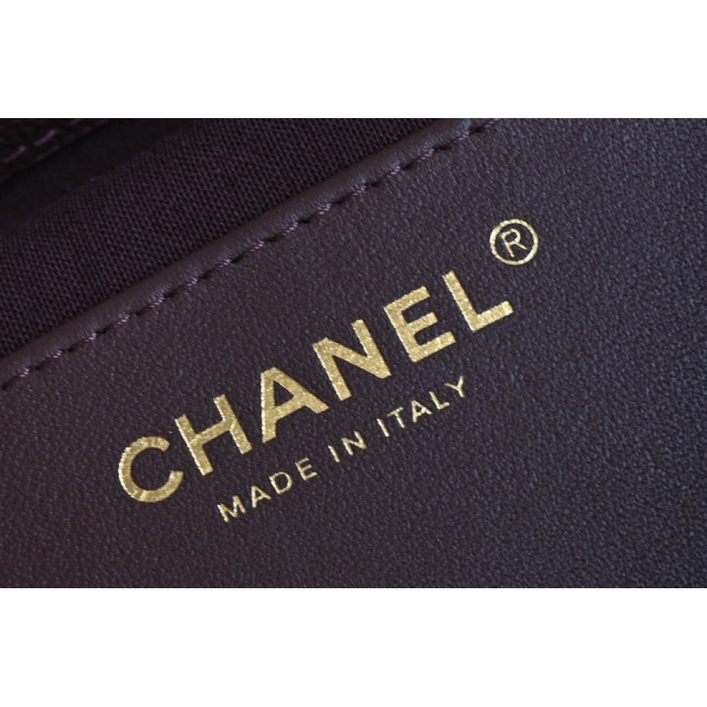 Chanel hobo 25 small handbag 30x26x14cm Bags