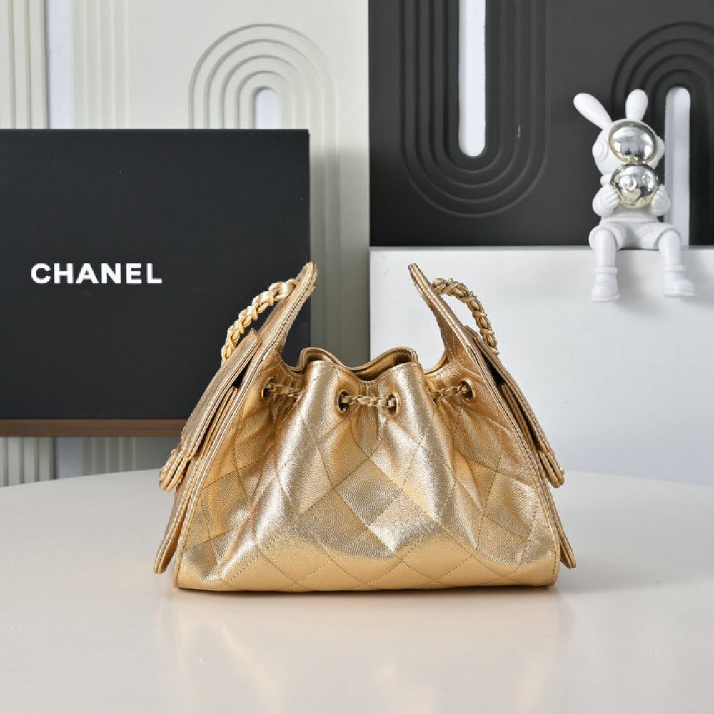 Chanel 25 hobo mini size 22x20x12.5cm Bags