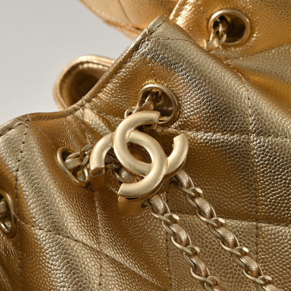 Chanel 25 hobo mini size 22x20x12.5cm Bags