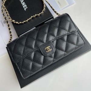 Chanel wallet on chain 18x10x3.5cm Bags