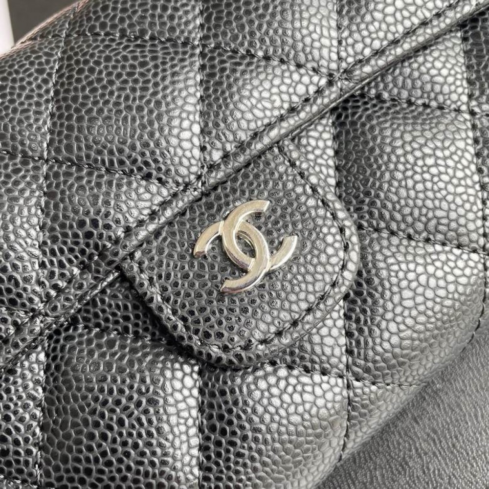 Chanel wallet on chain 18x10x3.5cm Bags