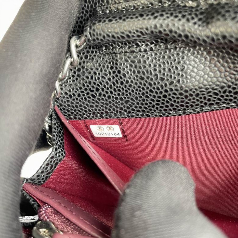 Chanel wallet on chain 18x10x3.5cm Bags