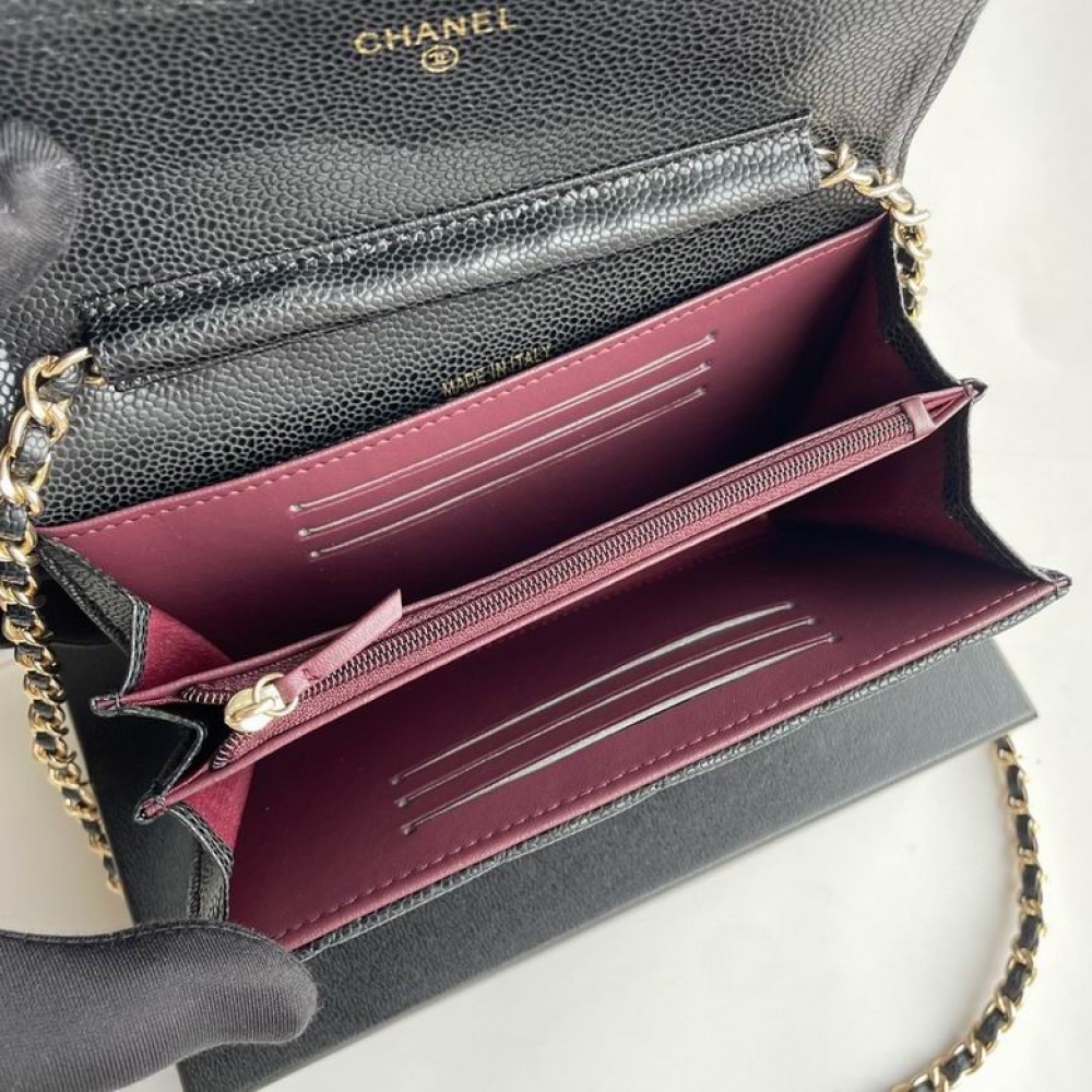 Chanel wallet on chain 18x10x3.5cm Bags