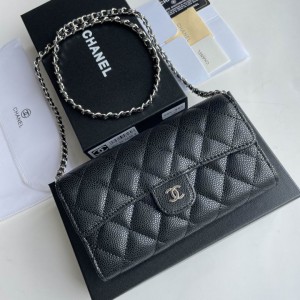 Chanel wallet on chain 18x10x3.5cm Bags