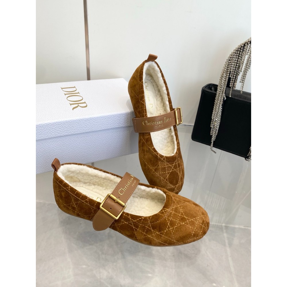 Dior Alps frost ballet flat shoes Shoes