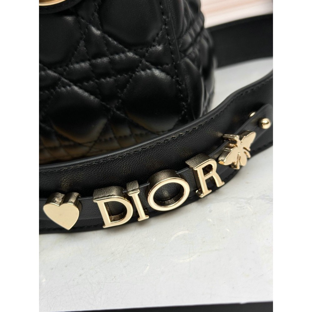 Dior Lady small size with strap 20x16.5x8cm Bags