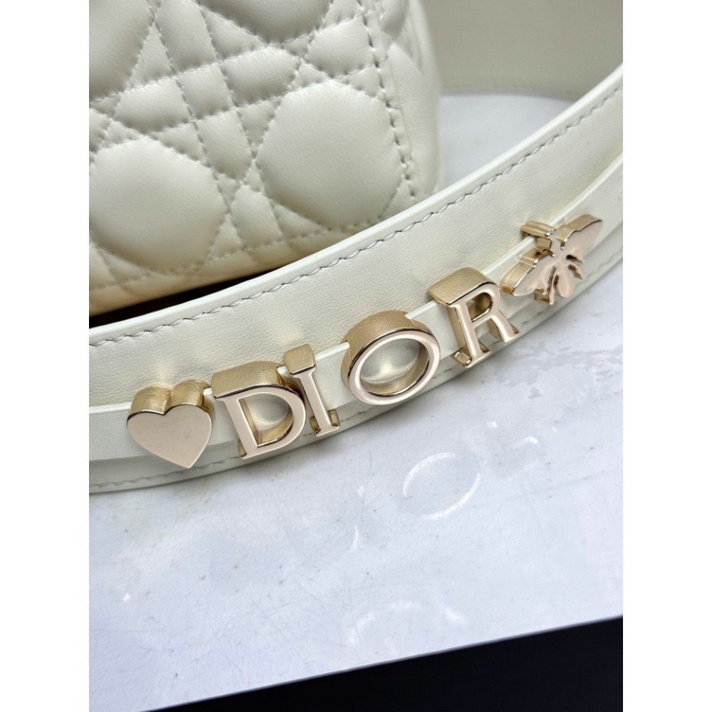 Dior Lady small size with strap 20x16.5x8cm Bags
