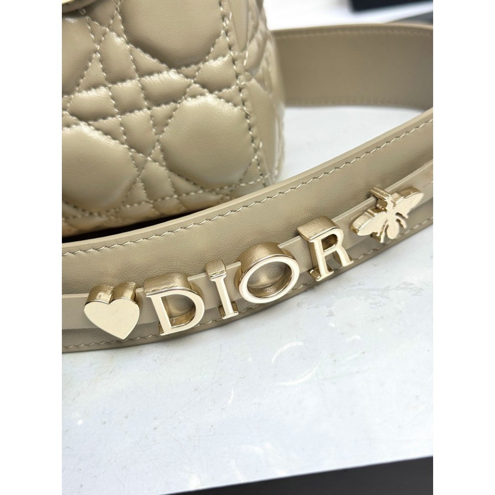 Dior Lady small size with strap 20x16.5x8cm Bags