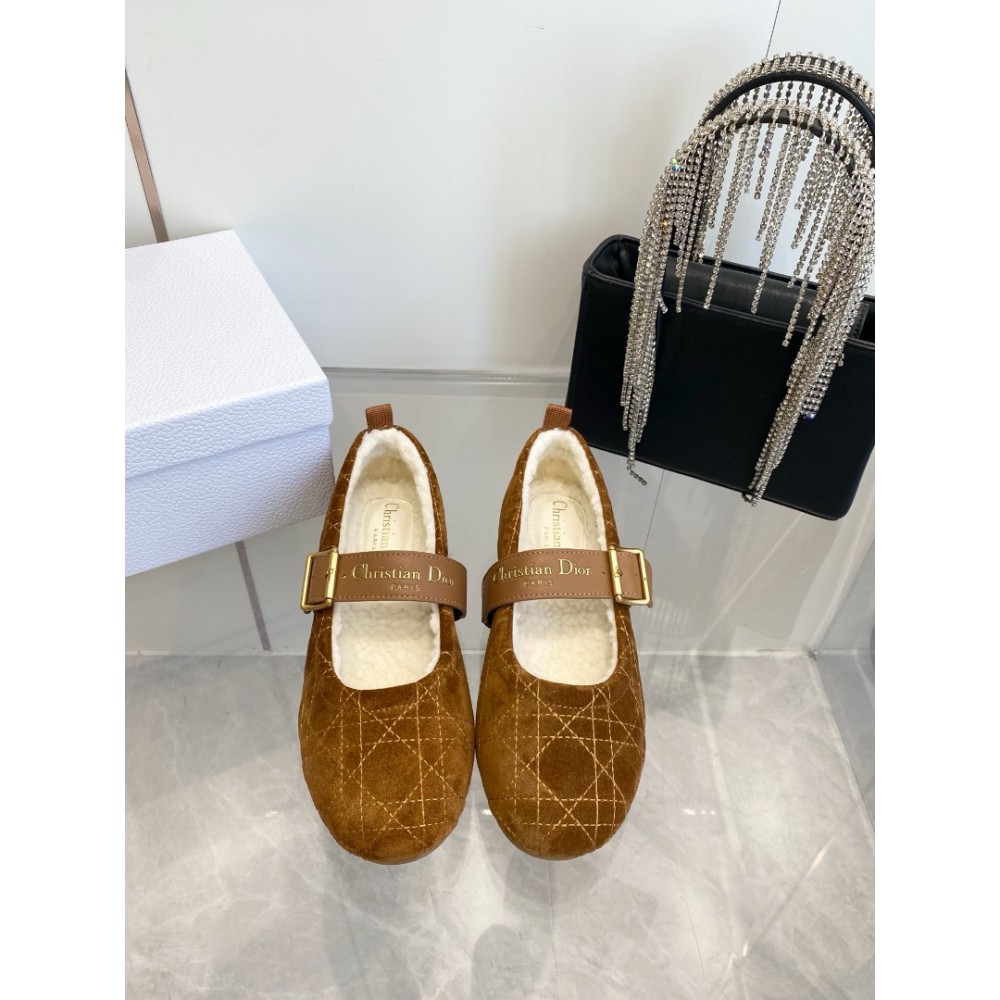 Dior Alps frost ballet flat shoes Shoes