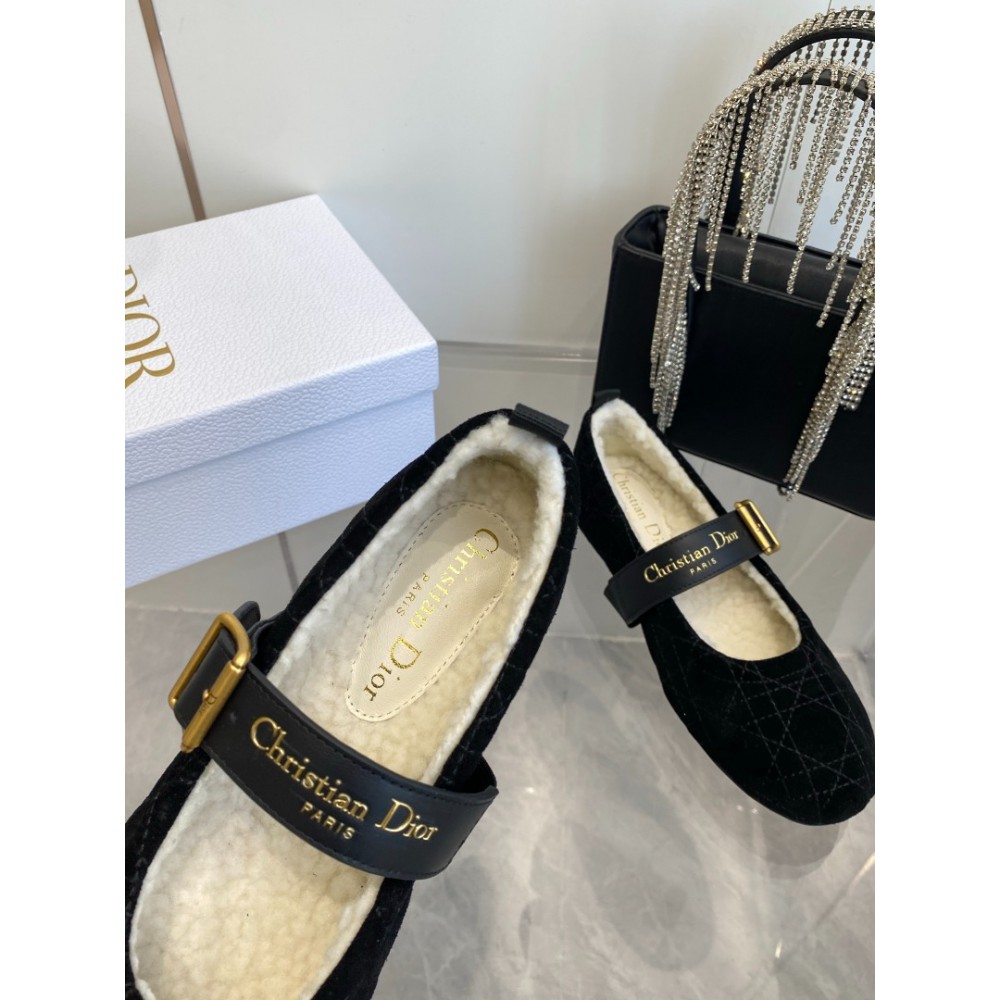 Dior Alps frost ballet flat shoes Shoes