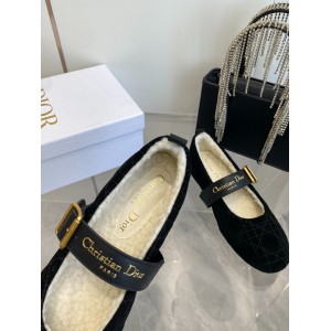 Dior Alps frost ballet flat shoes Shoes