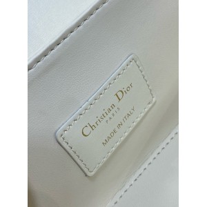 Dior montaigne 30 avenue 19x8x9cm Bags