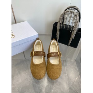 Dior Alps frost ballet flat shoes Shoes