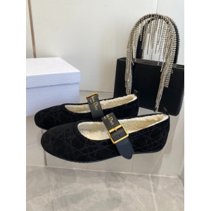 Dior Alps frost ballet flat shoes Shoes