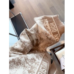 Dior scarf 65x180cm Accesories