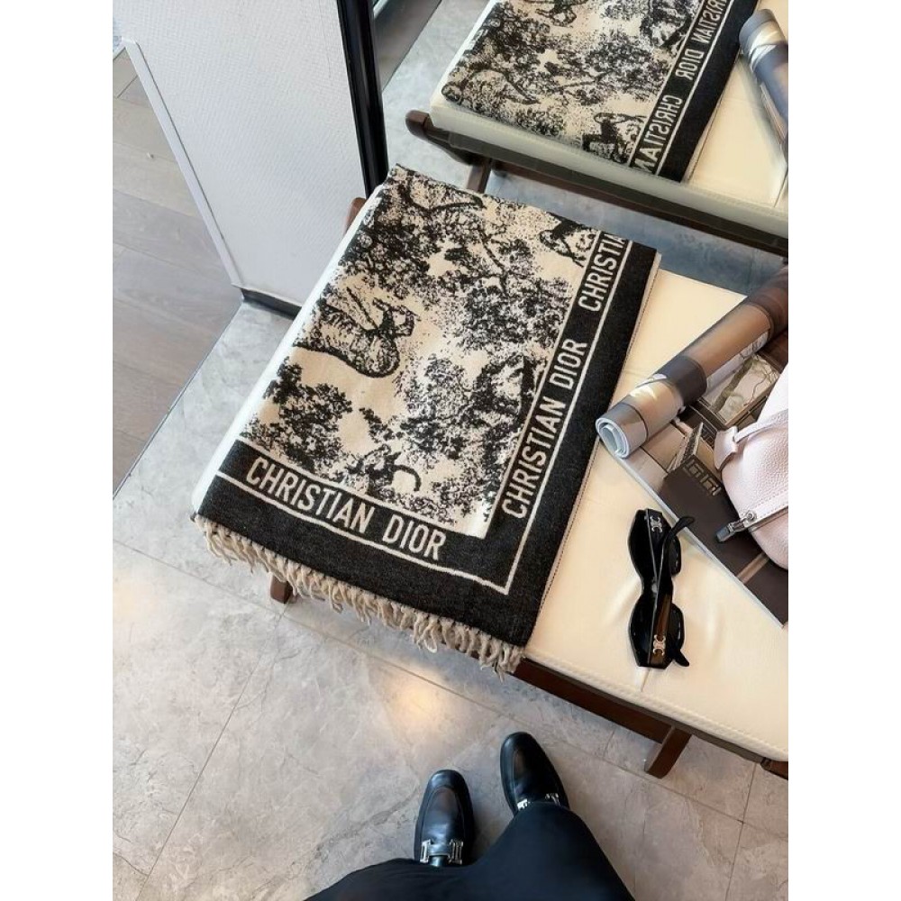 Dior scarf 65x180cm Accesories