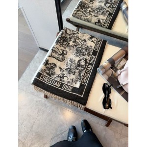 Dior scarf 65x180cm Accesories