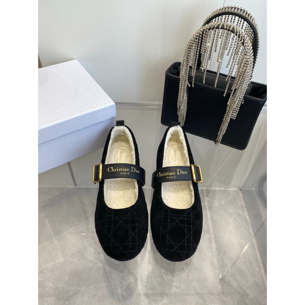 Dior Alps frost ballet flat shoes Shoes
