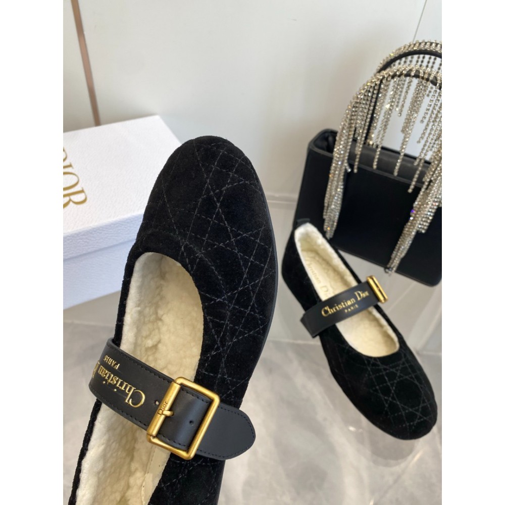Dior Alps frost ballet flat shoes Shoes