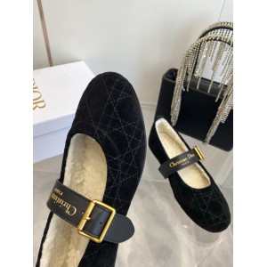 Dior Alps frost ballet flat shoes Shoes