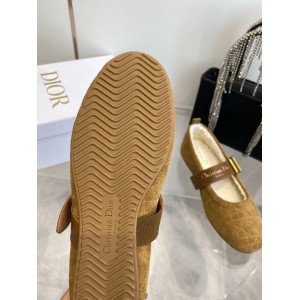 Dior Alps frost ballet flat shoes Shoes