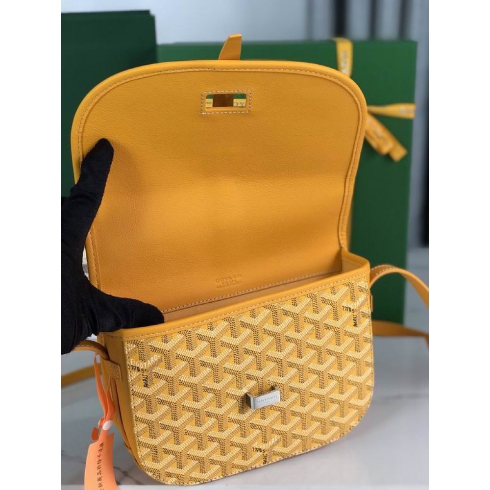 Goyard Belvédère PM bag 22x16x7cm Bags