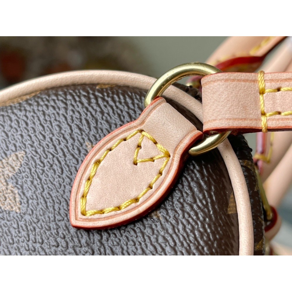 Lv speedy nano M61252 16 x 12.5 x 10 Bags