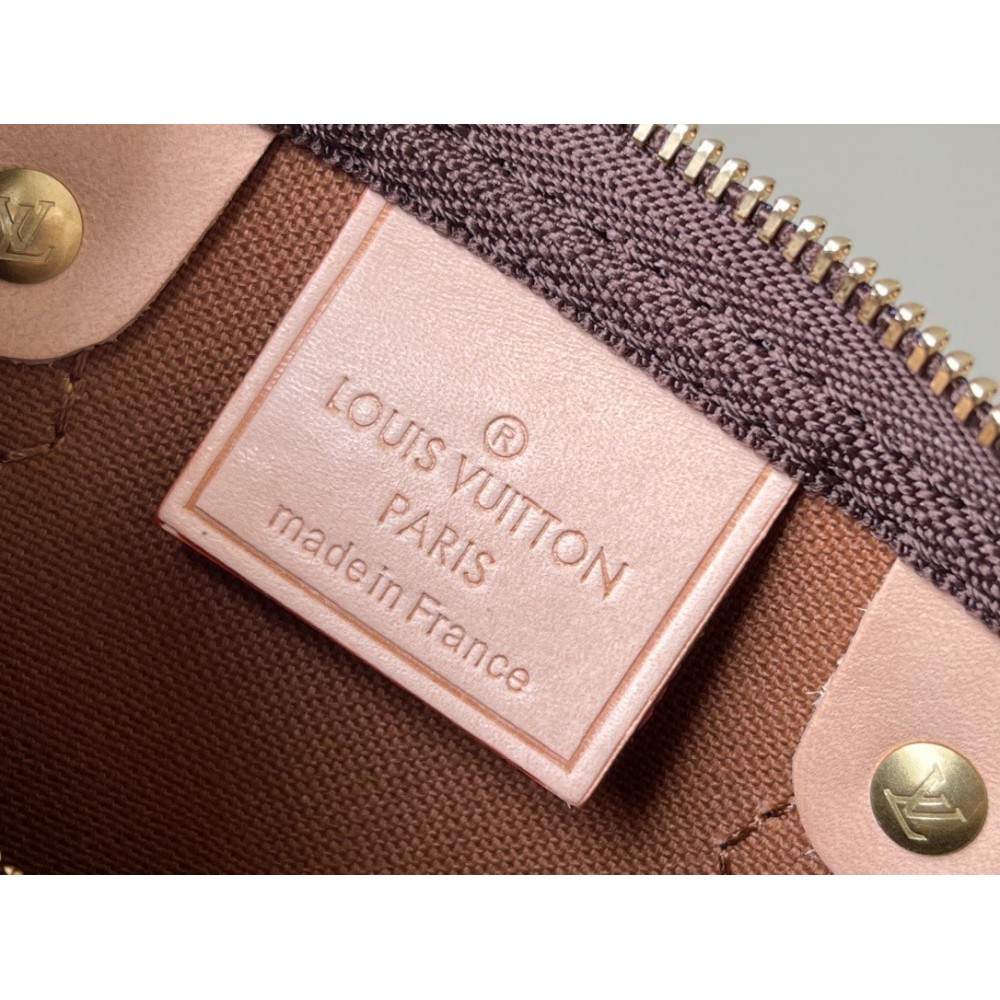 Lv speedy nano M61252 16 x 12.5 x 10 Bags