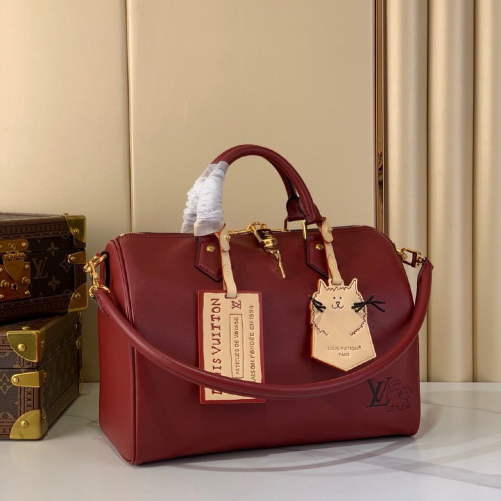 Lv Speedy m25766 17x30x21cm Bags