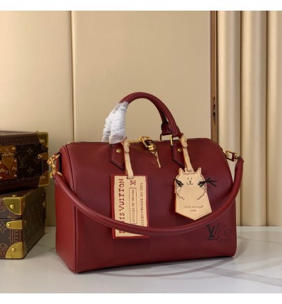 Lv Speedy m25766 17x30x21cm