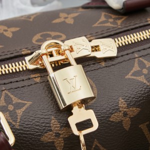 Lv Speedy 30 Soft Celebration M28379 Bags