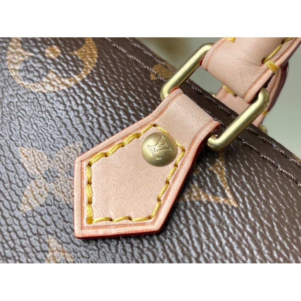 Lv speedy nano M61252 16 x 12.5 x 10 Bags