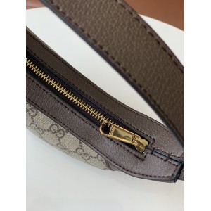 gucci ophidia 20x15x5cm Bags