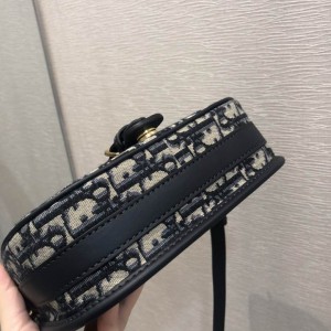 DIOR BOBBY 22CM BLACK PRINT Bags