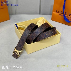 lv belt 2.5cm damier Accesories