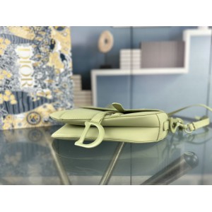 DIOR SADDLE 26CM ULTRAMATTE GREEN Bags