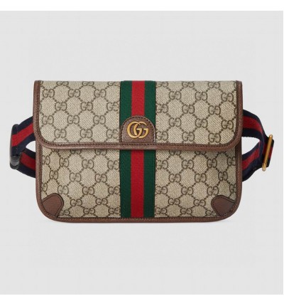 Gucci ophidia crossbody bag 24x17x3.9cm