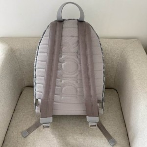 Dior backpack 42x30cm Bags