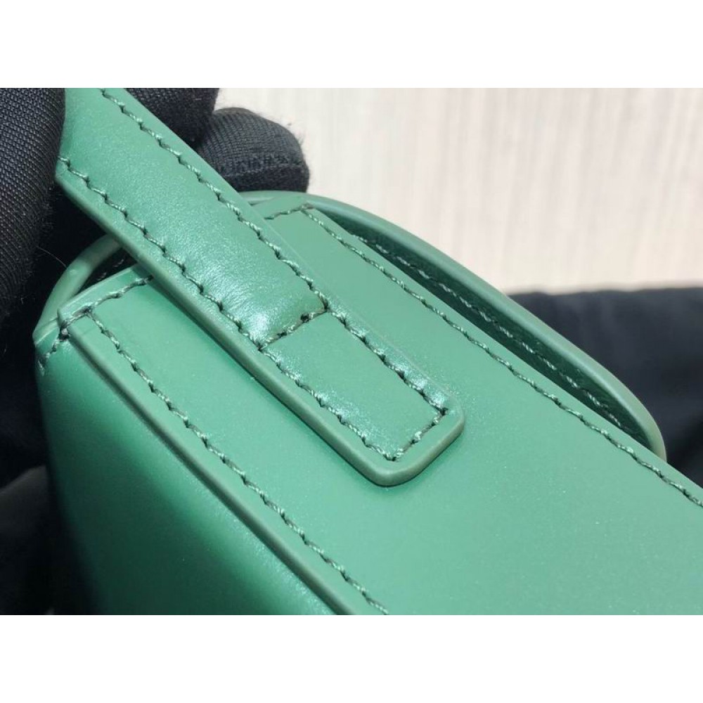 Celine triomphe 20x10x4cm 