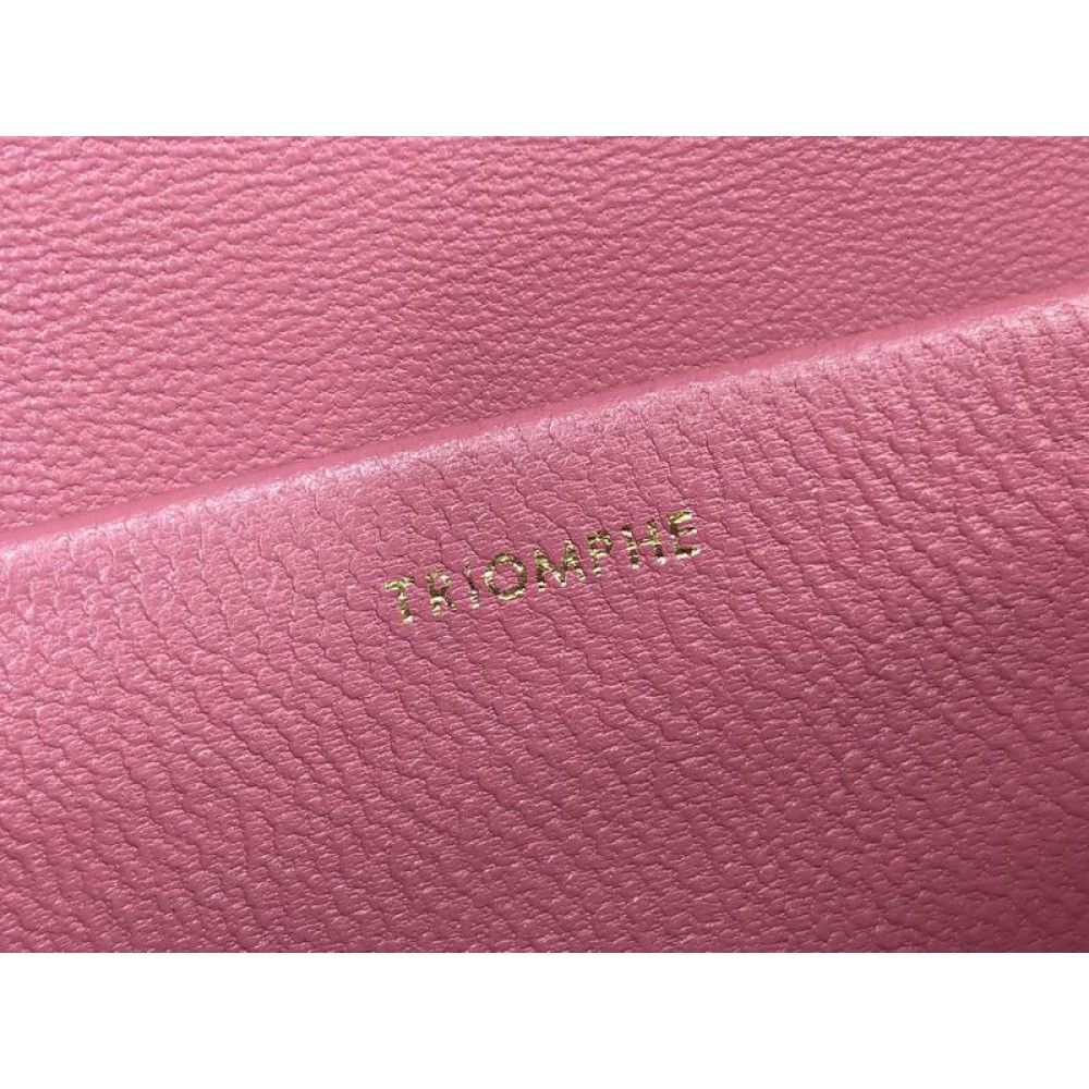 Celine triomphe 20x10x4cm 