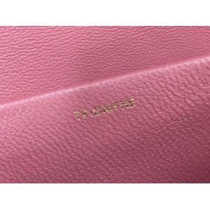 Celine triomphe 20x10x4cm 