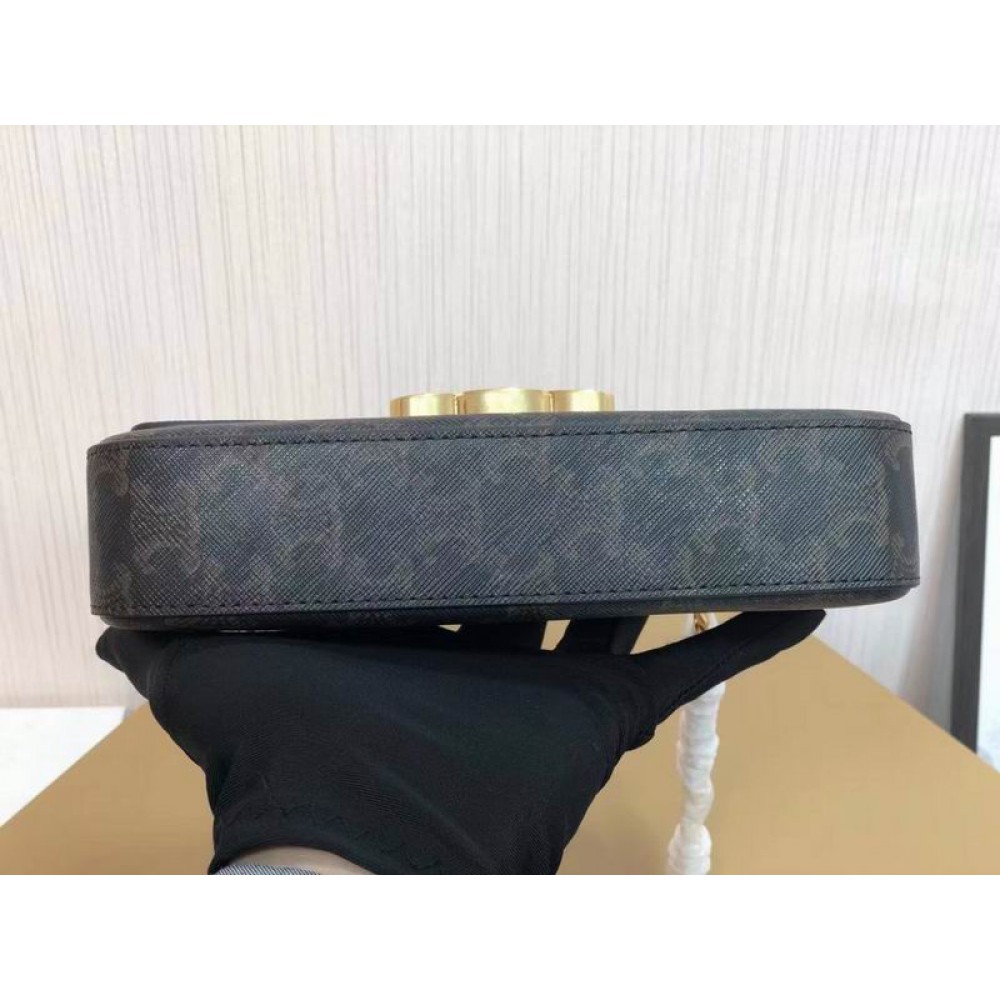 Celine triomphe 20x10x4cm 