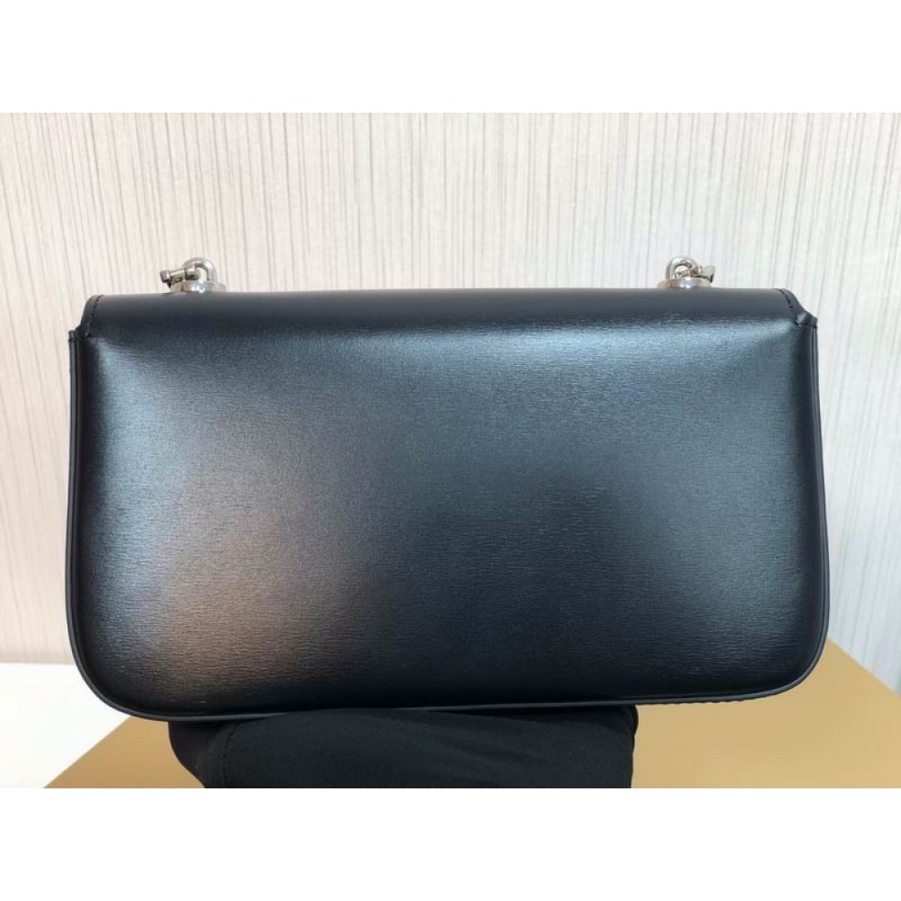 Celine triomphe 20x10x4cm 