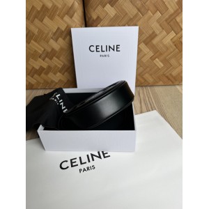 Celine triomphe 20x15cm 