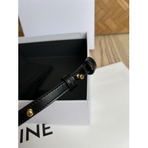 Celine triomphe 20x15cm 