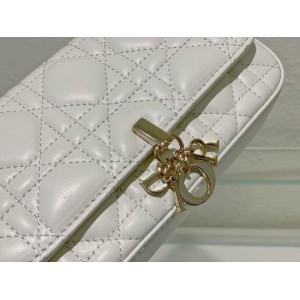 Dior Lady 19cm Bags