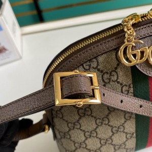 Gucci ophidia crossbody bag 23x19x8cm Bags