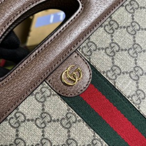 Gucci ophidia 25.5X19X10cm Bags