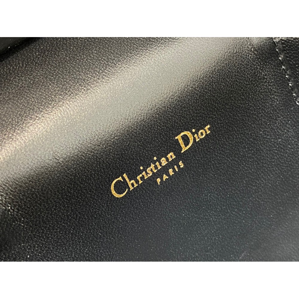 Dior signature vanity 24x14x18cm Bags