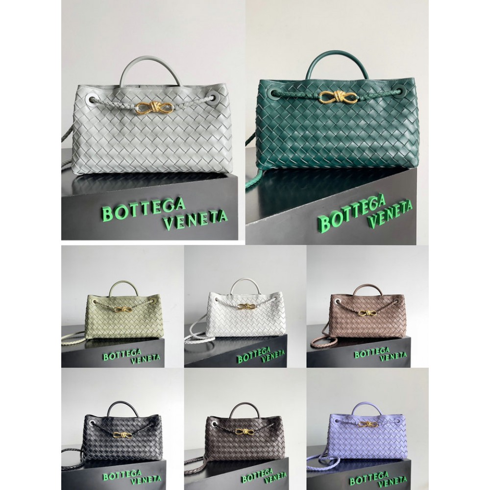 Bottega veneta andiamo Small East/West 29x18x10cm Bags